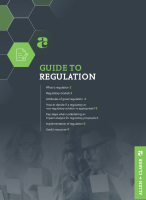 Preview image for Guide to Regulation