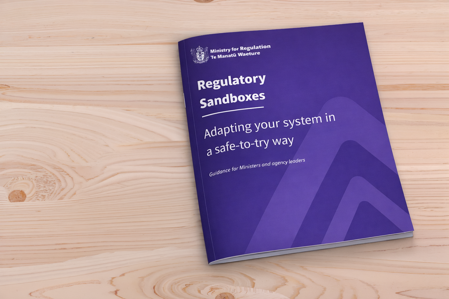 Regulatory sandboxes guide cover image