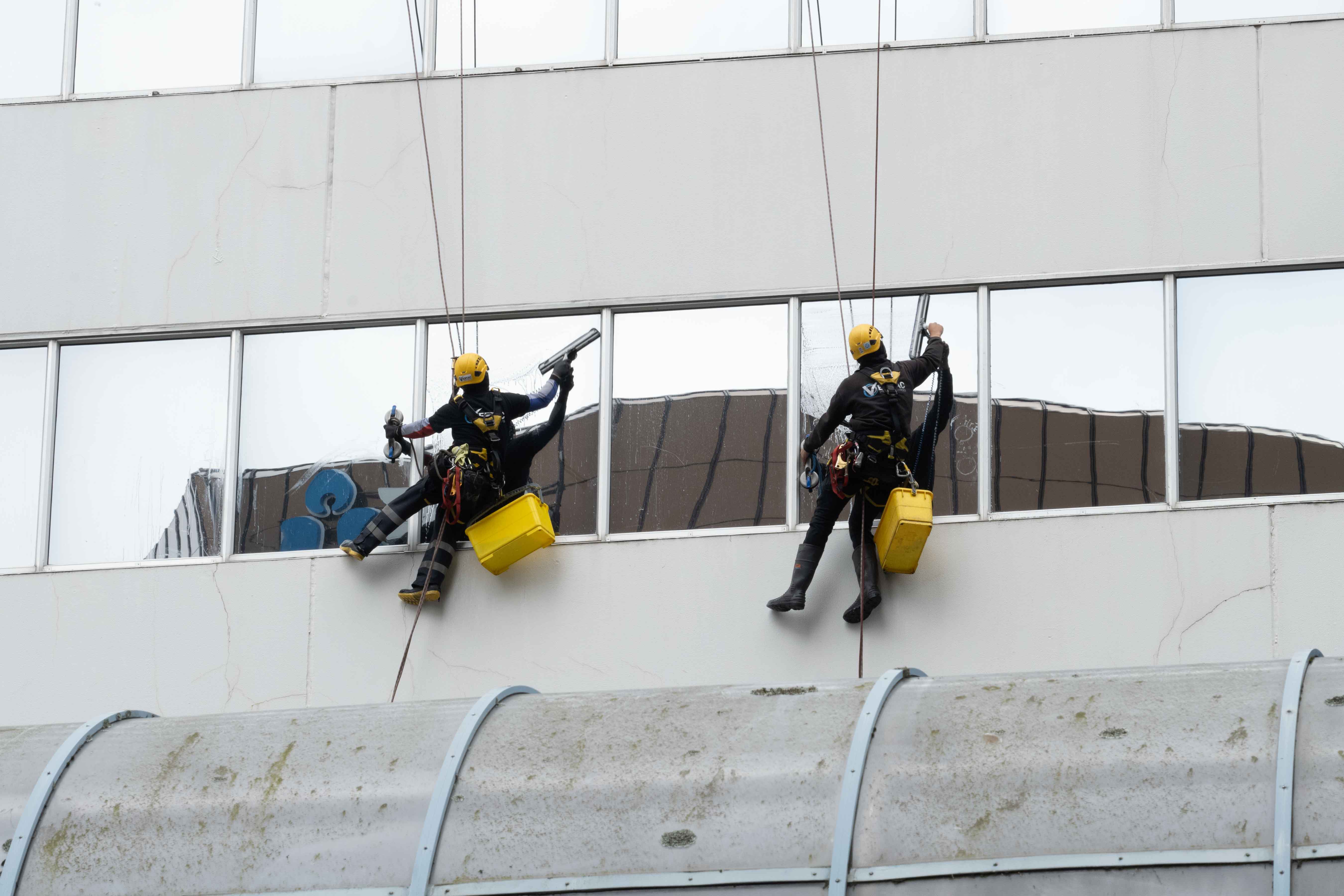 Two window cleaners working on harnesses